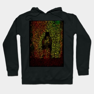 Who Shook the Bottle Up? Hoodie